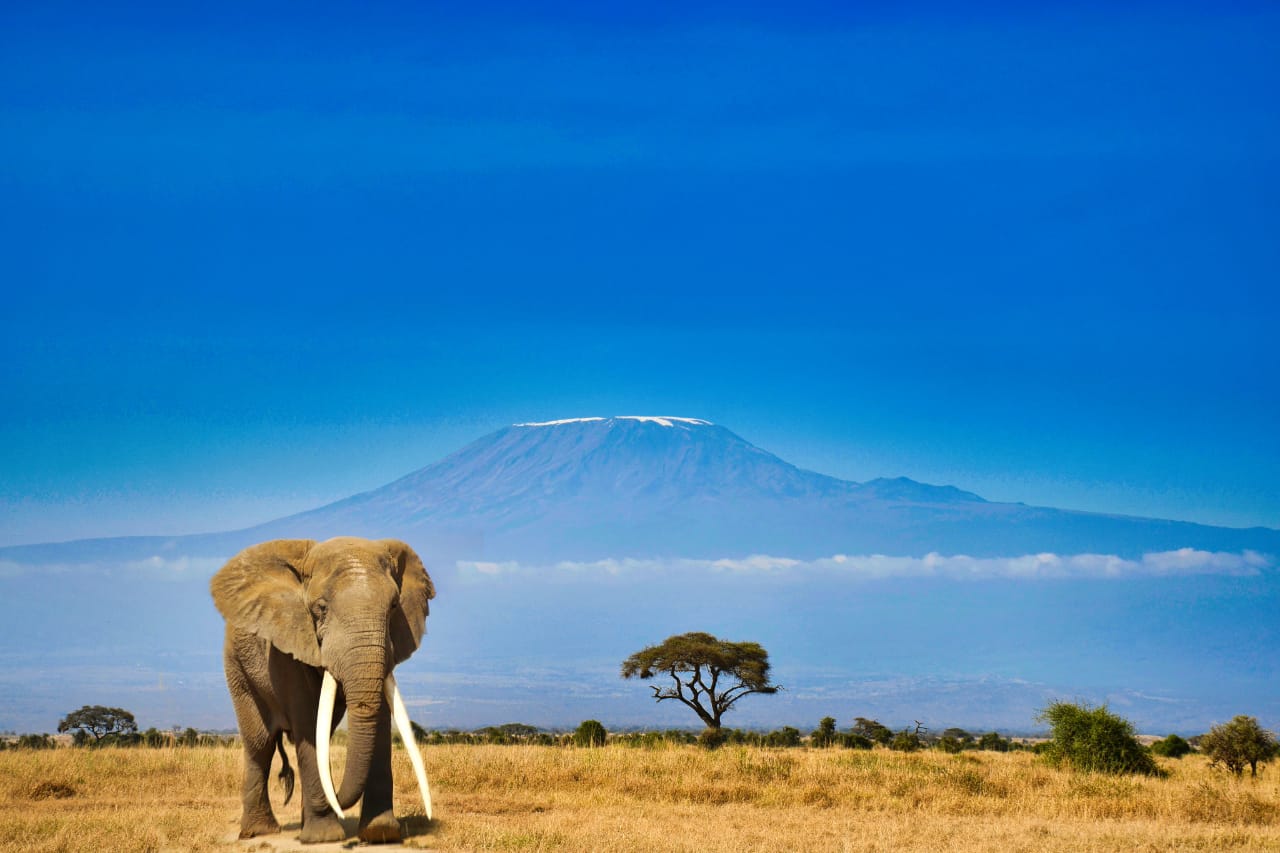 Serengeti